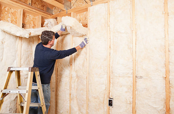 Best Attic Insulation Installation in USA